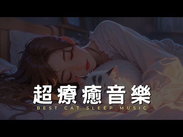 「貓咪陪伴的輕柔鋼琴曲，寧靜的夜晚療癒」 | Soft Piano with a Cat for a Calm Night