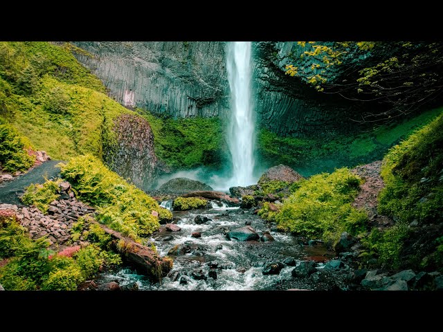 "10 Minutes Relaxing Forest Ambience: Soothing Waterfall & Birdsong for Sleep & Meditation"