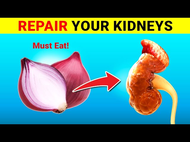 Top 23 Foods To Help Repair Your Kidneys. Must Eat!