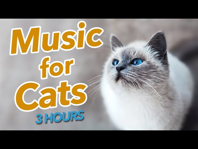 EXTREME RELAXATION for Cats - Soothing Lullabies for Felines