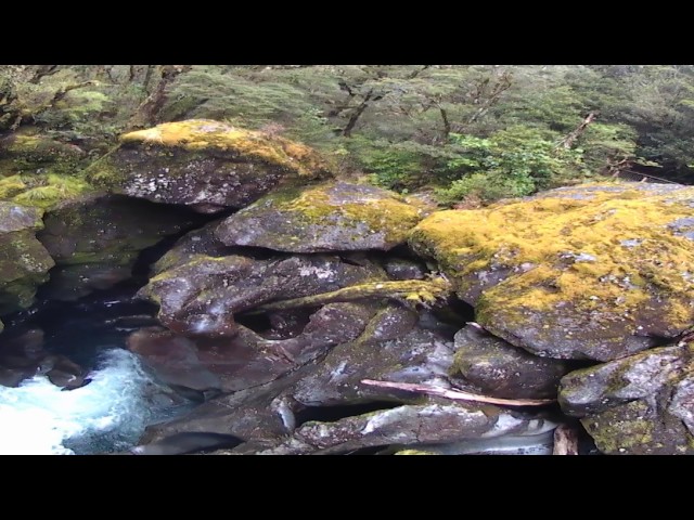 360 video of the Chasm hike near Milford Sound South Island New Zealand