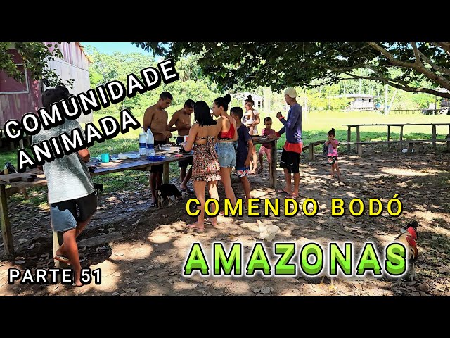 ANIMATED COMMUNITY - ROASTED FISH - AMAZONAS - VIDEO 51