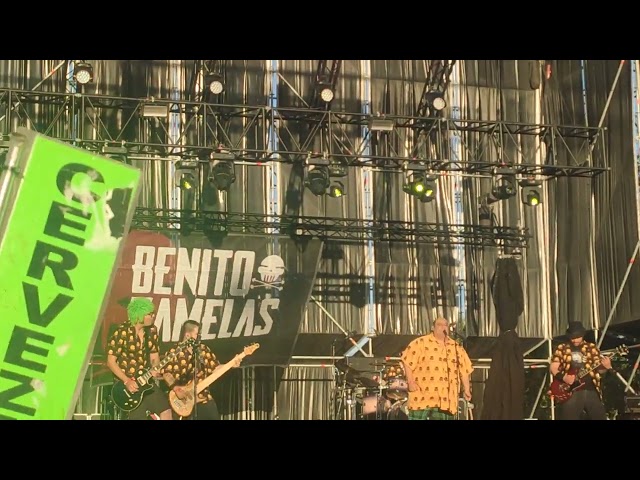 Benito Kamelas - Lola - Viñarock 2024