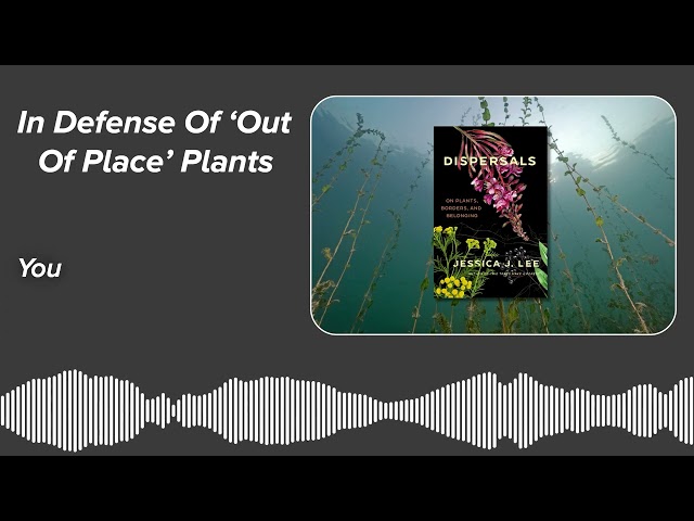 In Defense Of ‘Out Of Place’ Plants