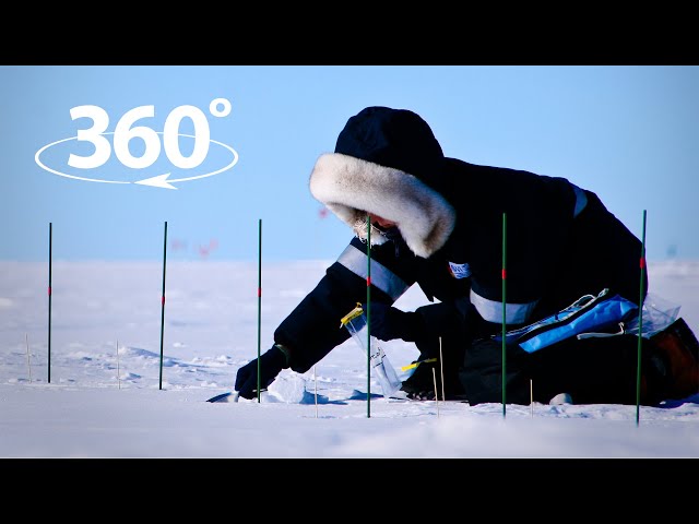 360 tour with a polar scientist on the Greenland ice sheet