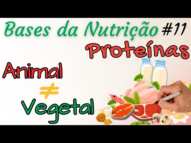 PROTEÍNAS:  fonte ANIMAL x fonte VEGETAL - Diferenças e Cuidados - Bases da Nutrição 11