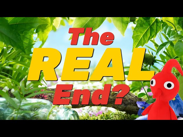 The REAL End Of Pikmin Plush Adventures? (UPDATE OCTOBER 2024)