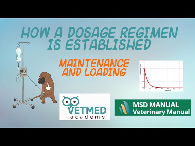 How a Dosage Regimen is Established: Maintenance and Loading