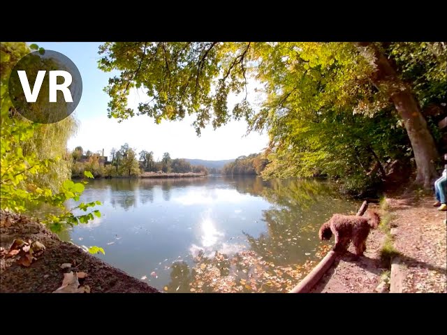 Ballade en vélo (360°)