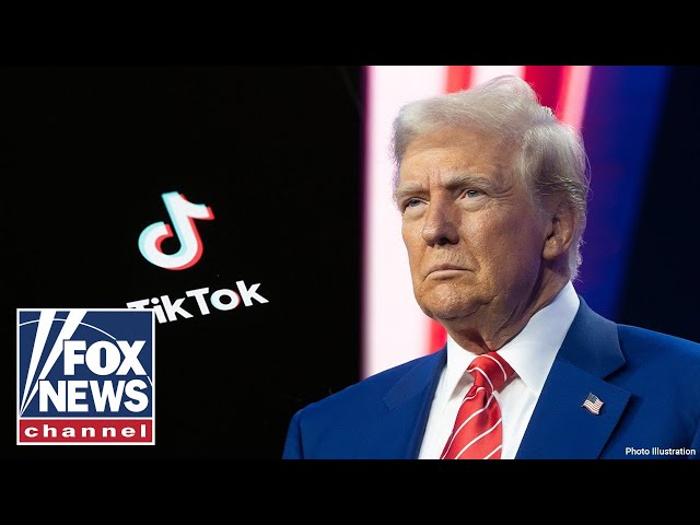 TikTok challenge will be ‘defining moment’ for Trump administration