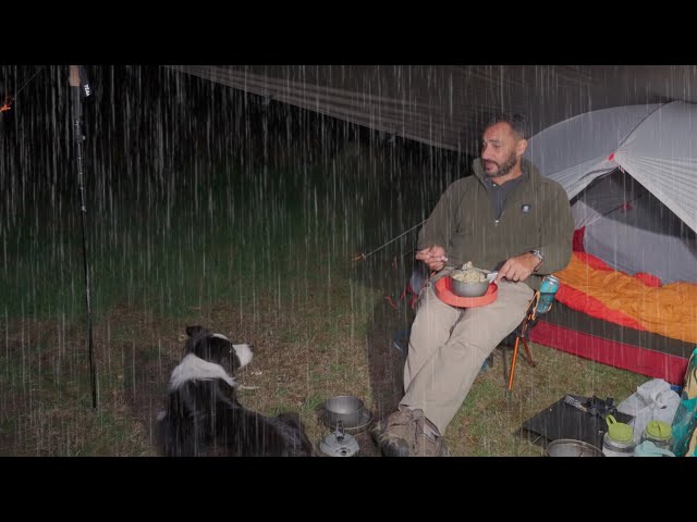 CAMPING in RAIN with TENT and DOG - MSR hubba hubba NX 2