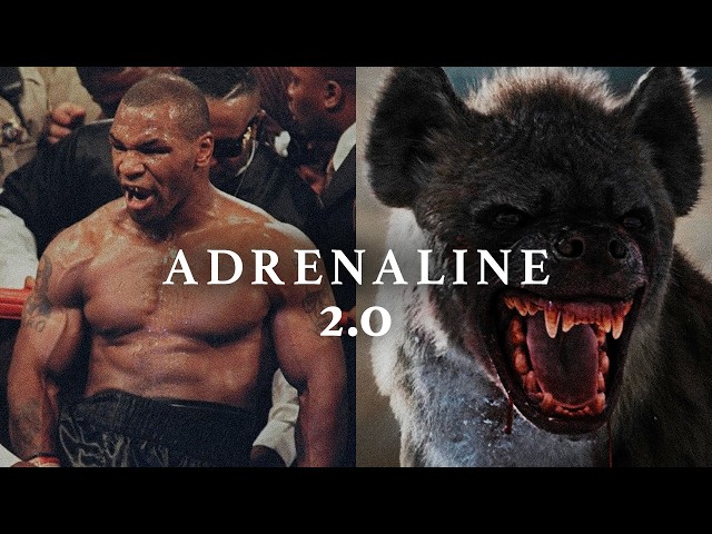 ADRENALINE II - Best Motivational Speeches