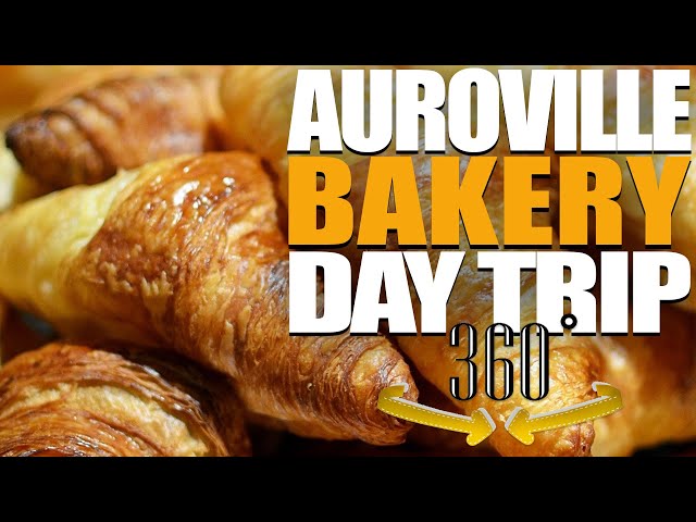 🆕 auroville Bakery - Auroville Day Trip  ❀ Great Idea !