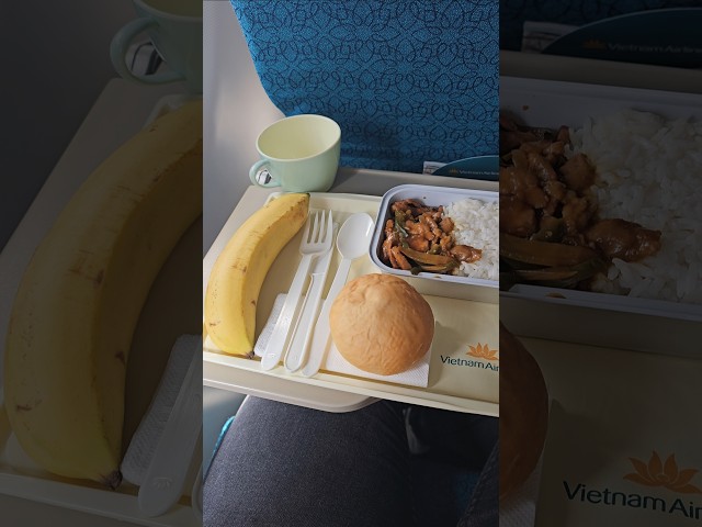 VIETNAM AIRLINES | MEAL IN ECONOMY CLASS | #aviation #travel  #food #flight #trip #sky #fly #vietnam