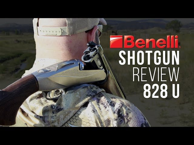 Benelli 828U Shotgun Review (Wingmen)