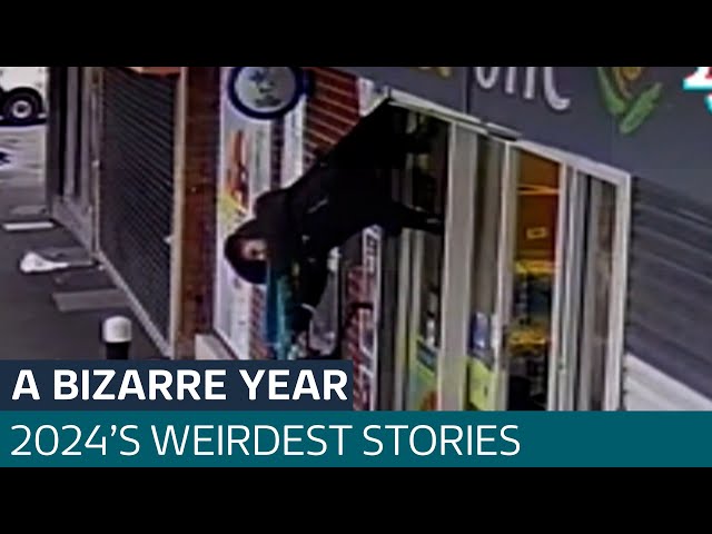 The most bizarre stories of 2024 #itvnews