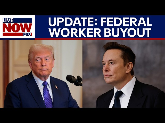 Pack your bags: Update on federal workout buyout offered by President Trump | LiveNOW from FOX