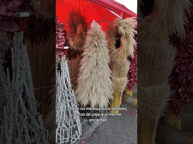 Árboles de Navidad en el Mercado de Jamaica