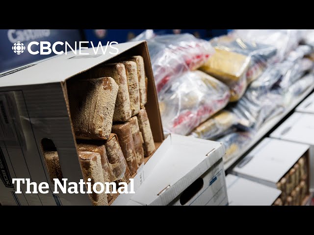 Mexican drug cartels ‘thriving’ in Canada, police and analysts say