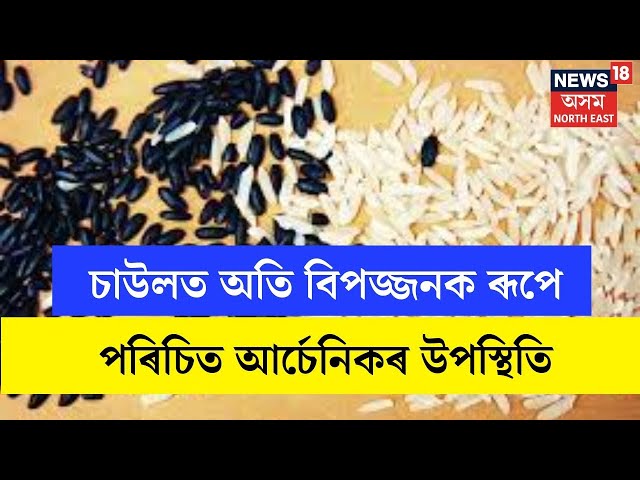 Arsenic Contamination : যোৰহাটৰ ৪ স্থানৰ চাউলৰ নমুনাত ভয়ংকৰ তথ্য | N18V