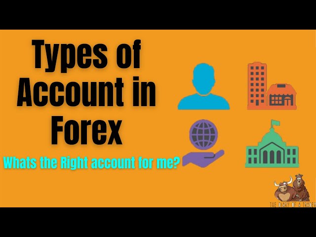 Forex Account Types | MUST WATCH | Best Account type for beginners 2024