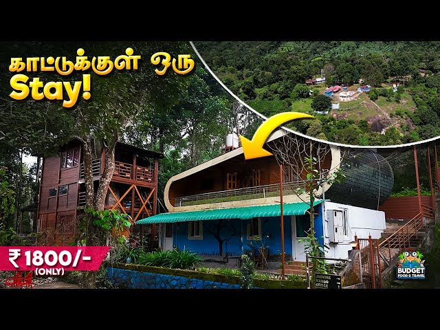 KODAIKANAL KU பதில் இங்க போகலாம் !🤫|BUDGET TREEHOUSE STAY IN THANDIKUDI| hidden spot near kodaikanal