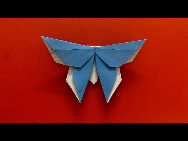 Origami Butterfly Tutorial Step By Step