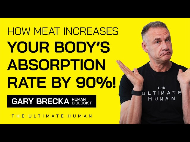 Bioavailable Meat: Why Your Body Needs It More Than You Think | Ultimate Human #134