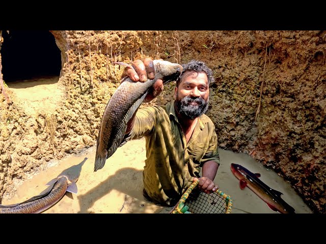 Fishing From The Hole | കുഴിയിൽ നിന്നും മീൻപിടിച്ചപ്പോൾ | M4 Tech |