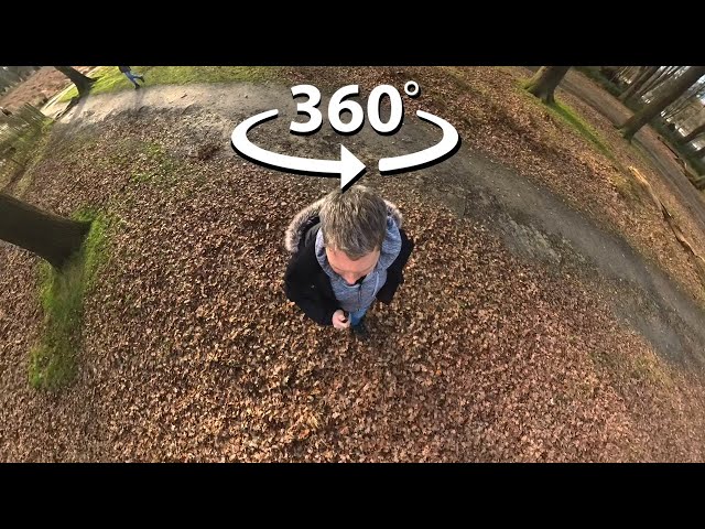 360 Video 8K - Relaxing Walk in the Forest & Music - Insta360  x3