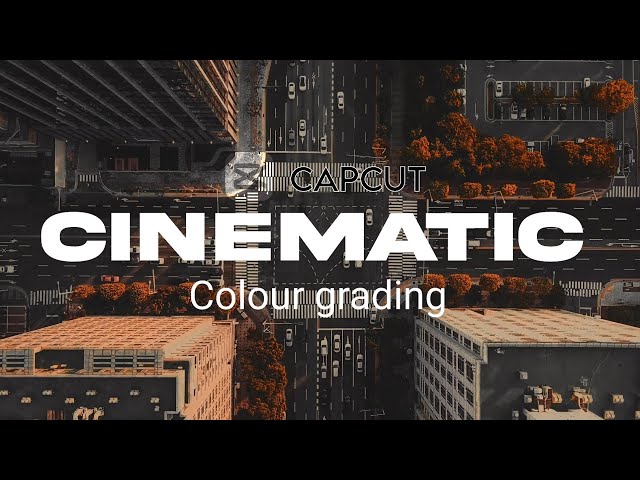 How To Color Grade In Capcut | Colour Grading Tutorial In Capcut Mobile