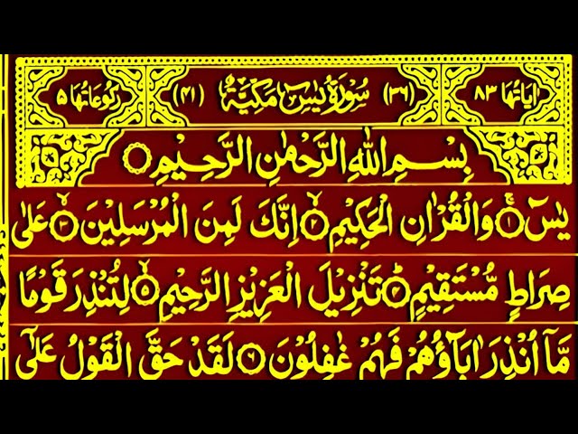 SURAH YASEEN SURAH Rhaman Episode//70// سورہ یٰس سورہ رحمٰن کی تلاوت  daily tilawate Quran  #india