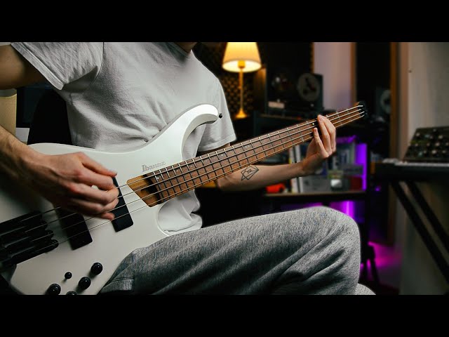 No Ostriches | The Maze [Live Bass Playthrough] | Ibanez EHB-1000 PWM