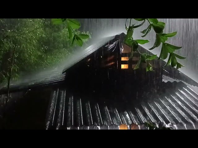 Powerful Thunder and Rain Sounds to Help You Sleep