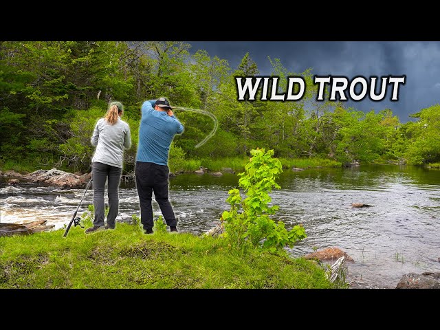 Trout Fishing Deep in the Woods of Nova Scotia, Canada