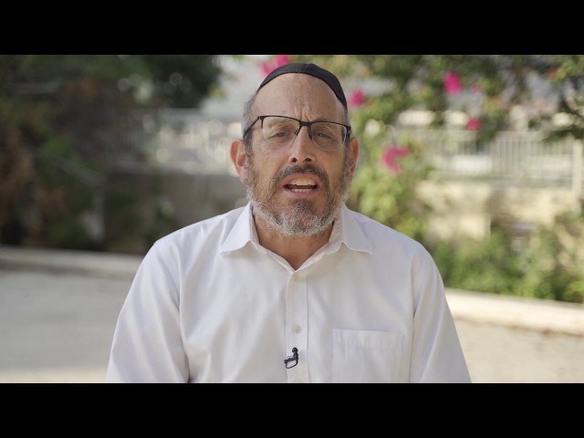 Israel Torah - Rabbi Chayim Soloveichik