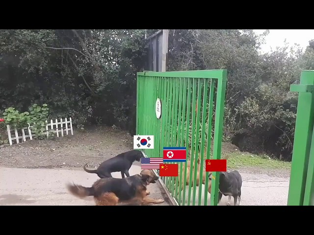 North Korean conflict summarized