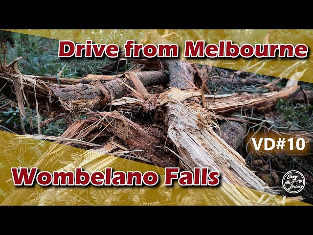 Scenic drive from Melbourne to Wombelano Falls