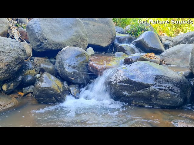 Relaxing Nature With Peaceful Water Sounds, Make You Healing And Stress Relief