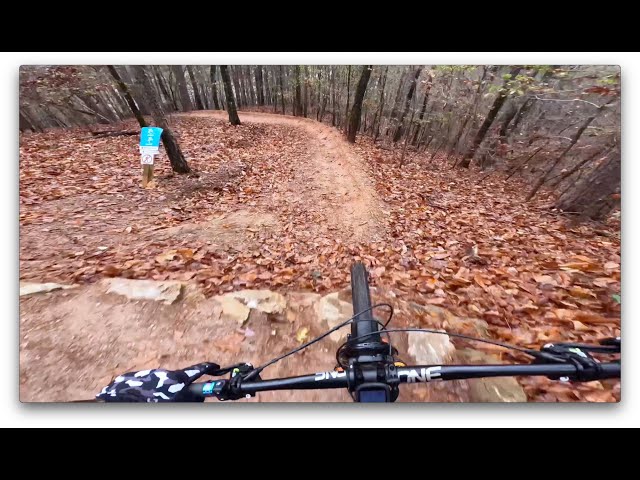 GoPro 11 Mini Hyperview MTB Footage