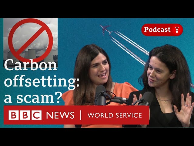 Does carbon offsetting actually work? - What in the World podcast, BBC World Service