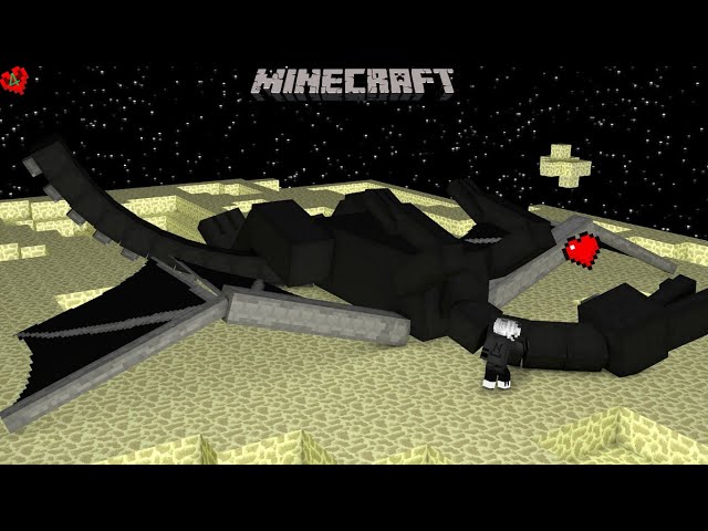 I kill the Ender Dragon | Ep4