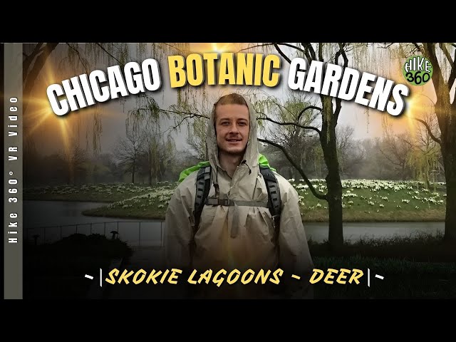 Chicago Botanical Gardens - Skokie Lagoons - Deer (Hike 360° VR Video)