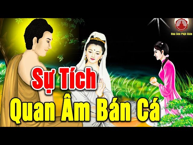 Kể Truyện Đêm Khuya, Sự Tích QUAN ÂM BÁN CÁ - Truyện Tích Phật Giáo Hay Nhất 2025