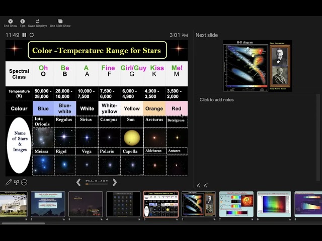 Study of Stellar Gaseous Discs: An lndian Odyssey: Gourab Banerjee