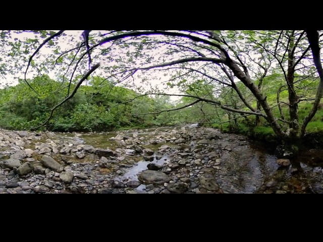 Scottish River - 360 Video [Royalty Free Stock Footage] $350 [4K VR Stereoscopic 3D]