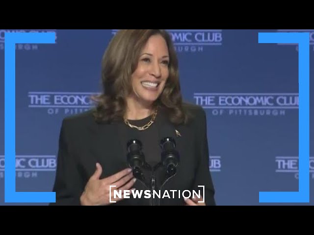 Is Harris’ media blitz helping or hurting her campaign? | Dan Abrams Live