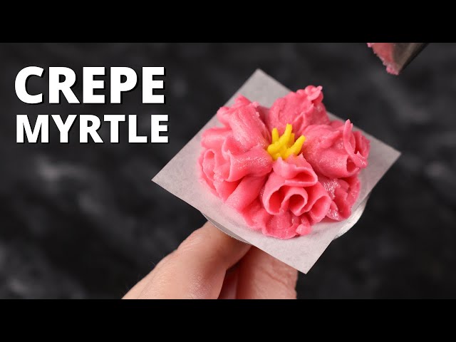 How to pipe buttercream crepe myrtle [ Cake Decorating For Beginners ]