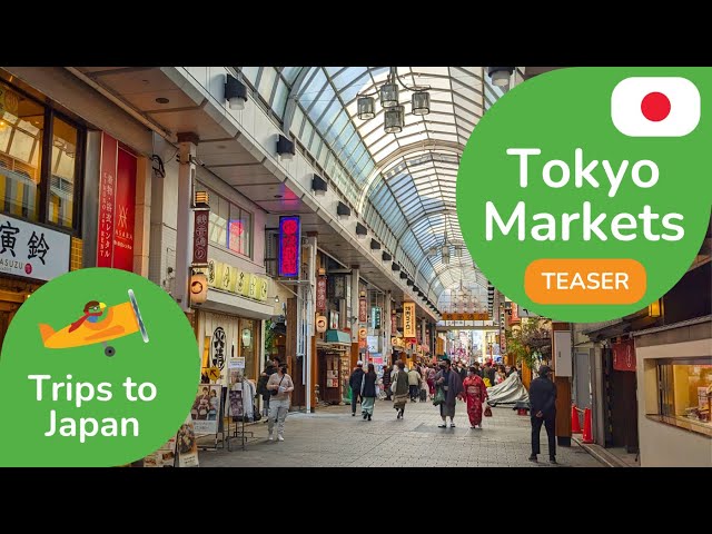 Tokyo Markets 360 Teaser | 3D 8K Experience | DYNAMIC LANGUAGES