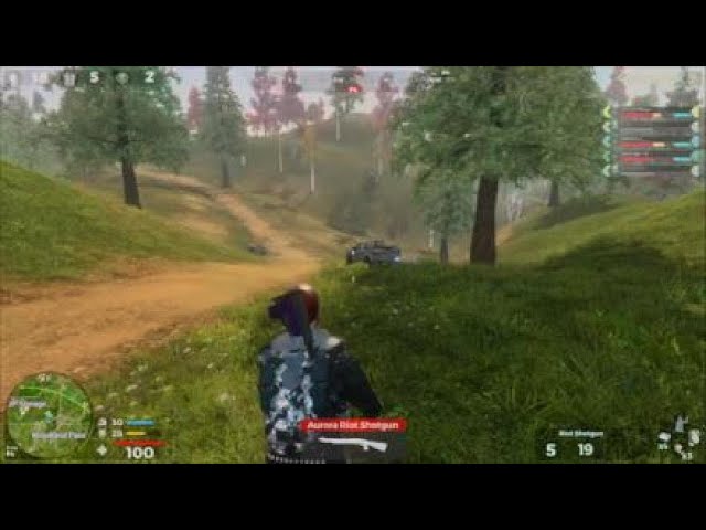 H1z1 Junk File